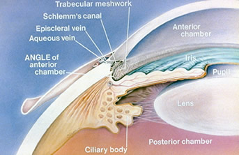 Glaucoma | Glaucoma Detection | Glaucoma Treatment | Sierra Vista | Benson